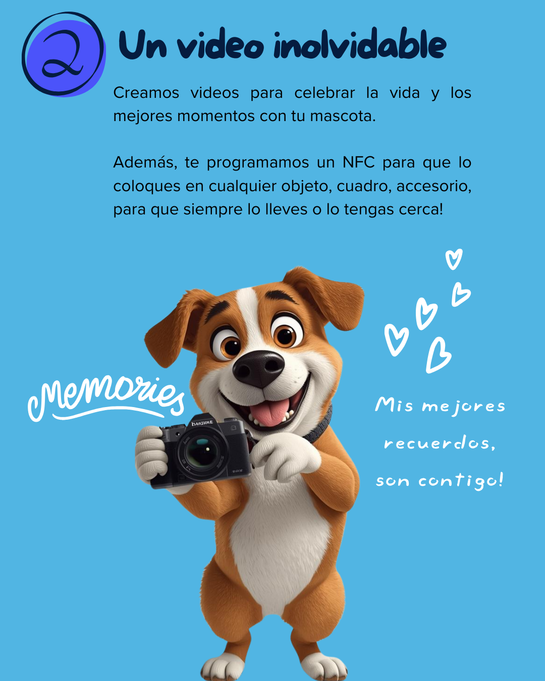 Historia de tu mascota