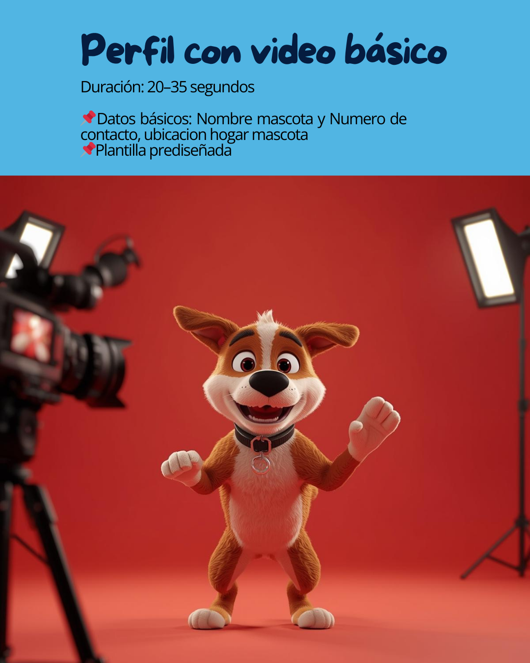 Perfil Video Básico