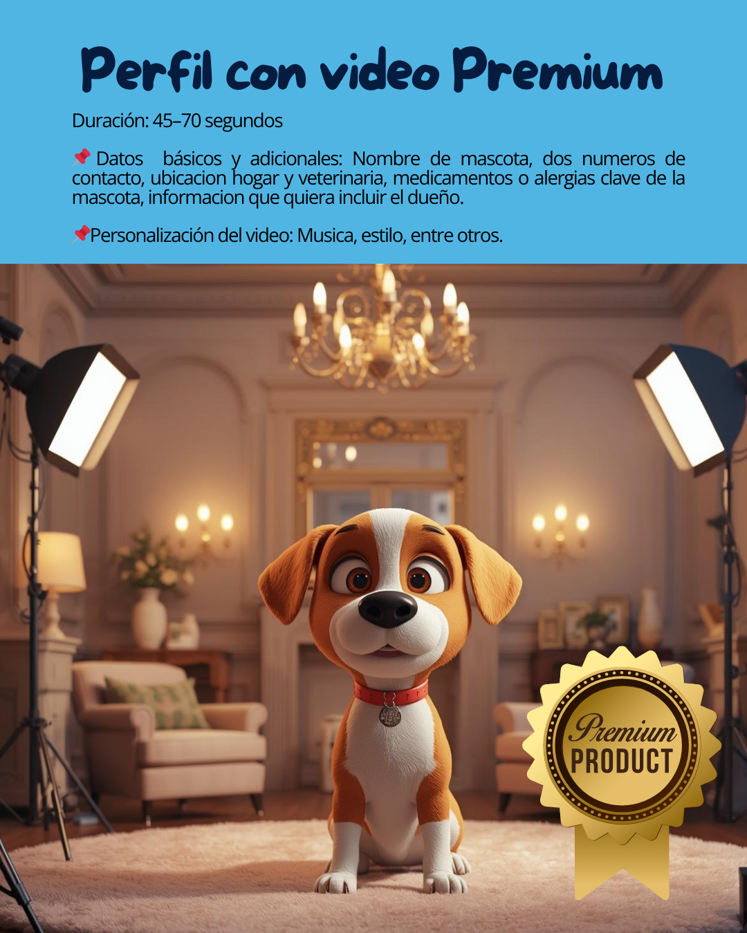 Perfil Video Premium